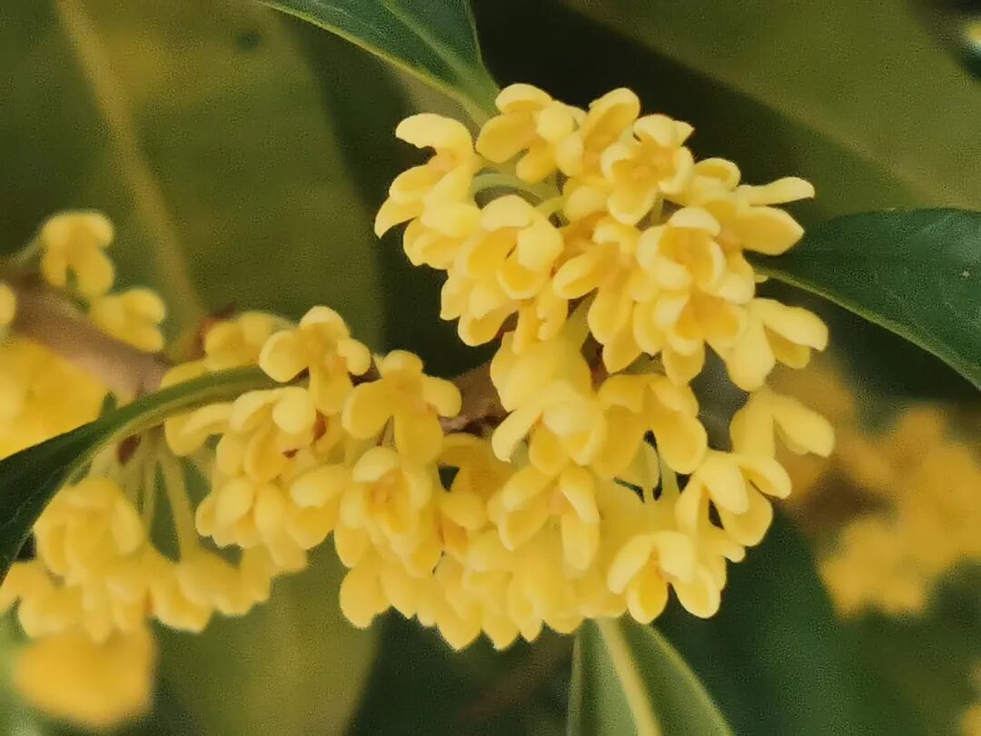 640