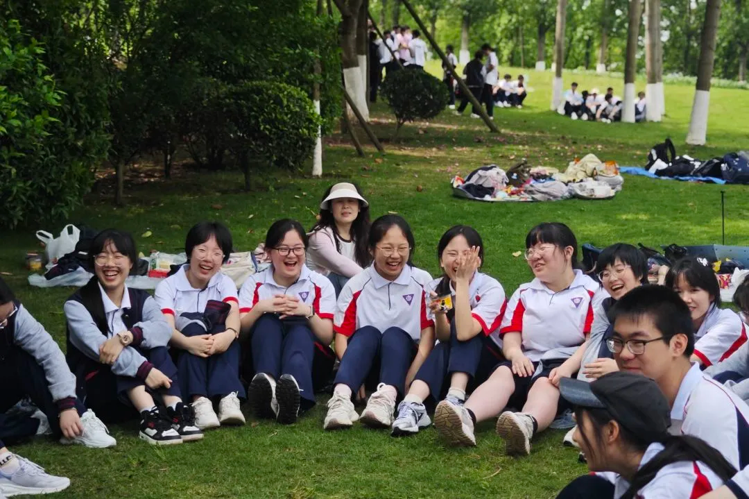 图片5 图片5