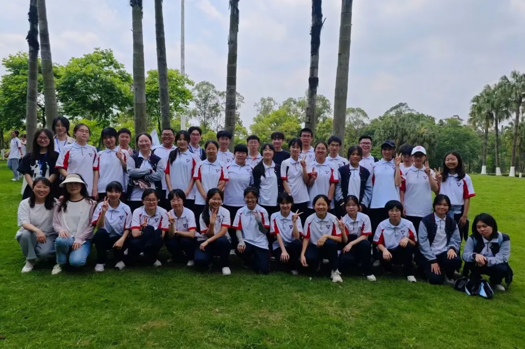图片4 图片4