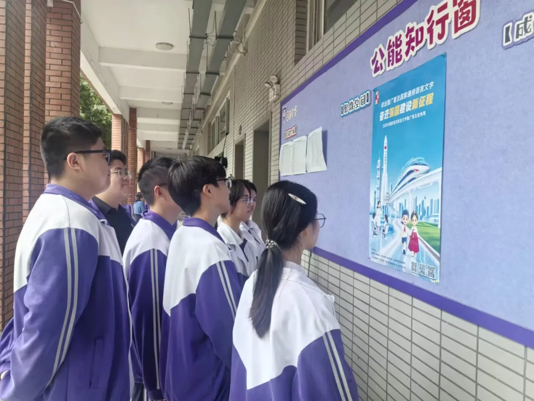 图片15