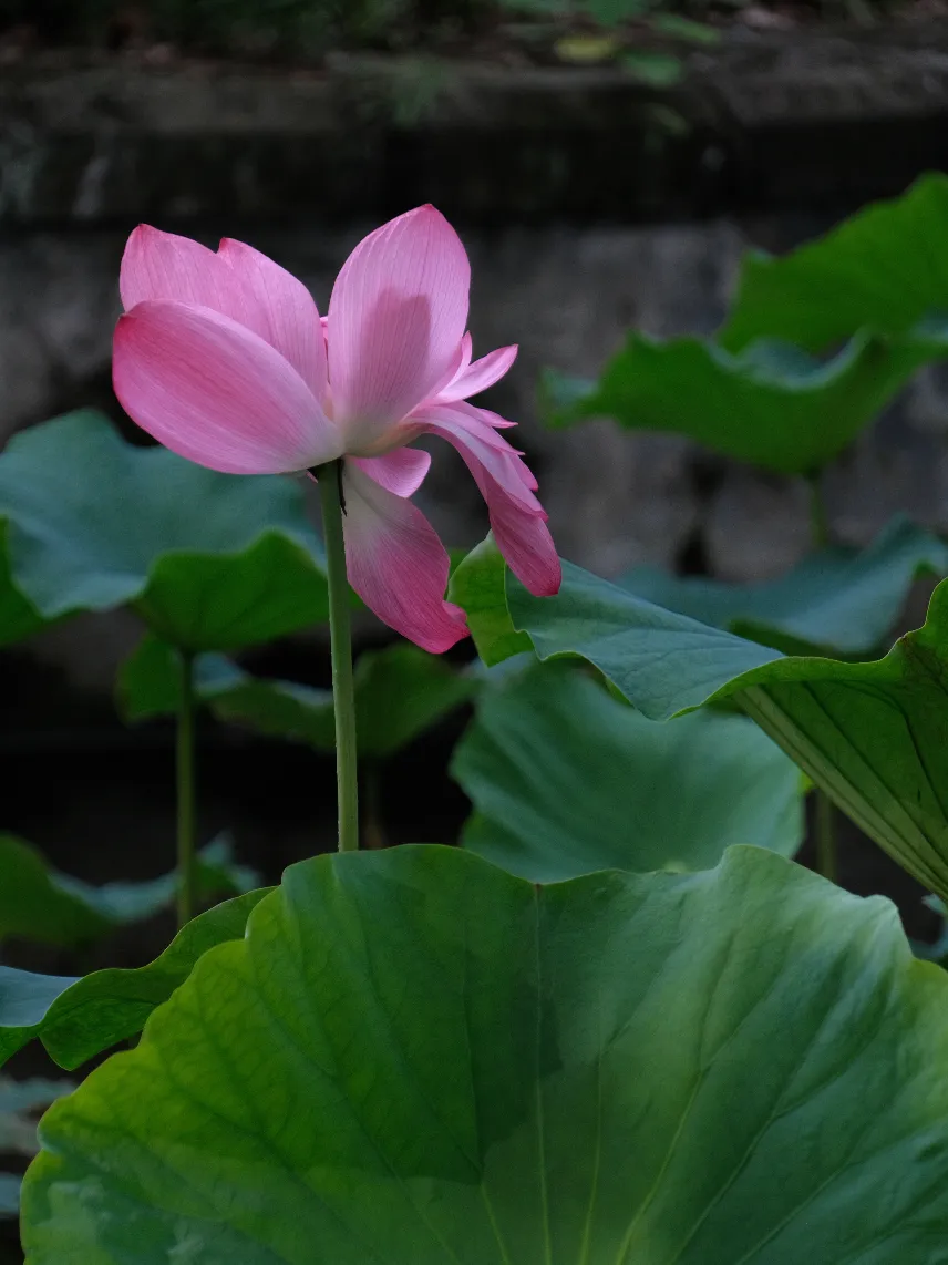 图片3 图片3