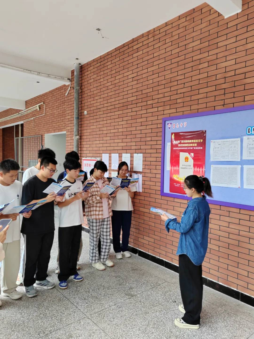 图片12