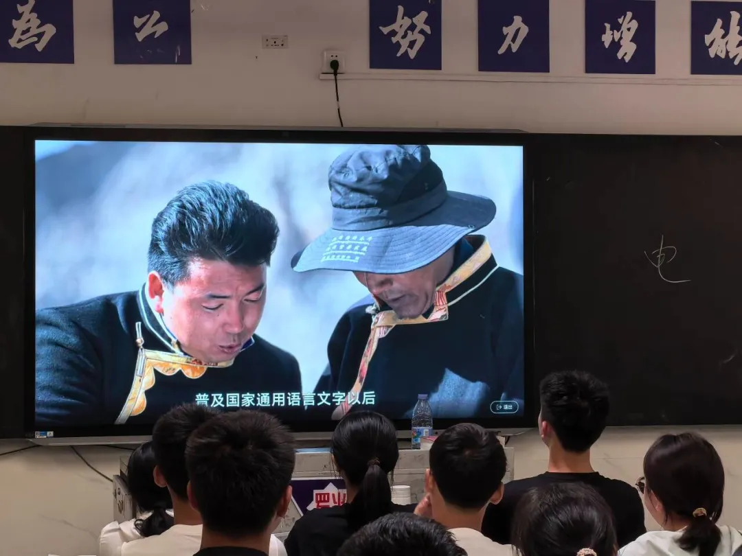 图片8