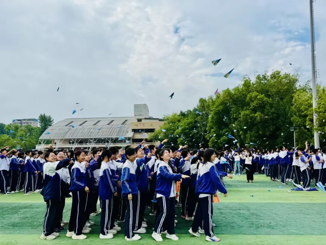 图片17 图片17
