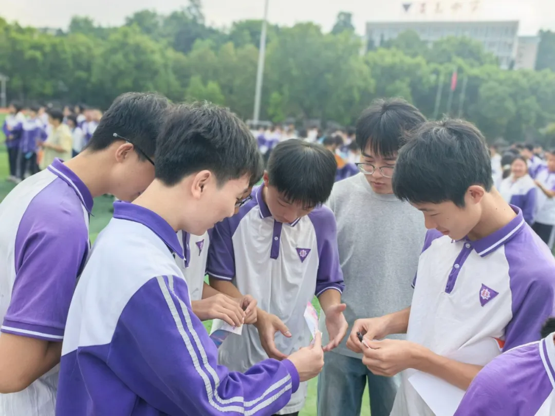 图片15 图片15