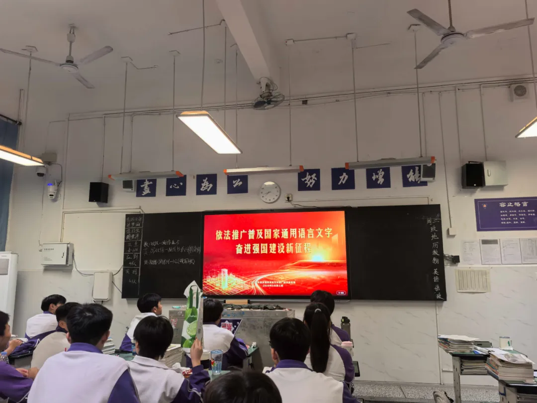 图片17