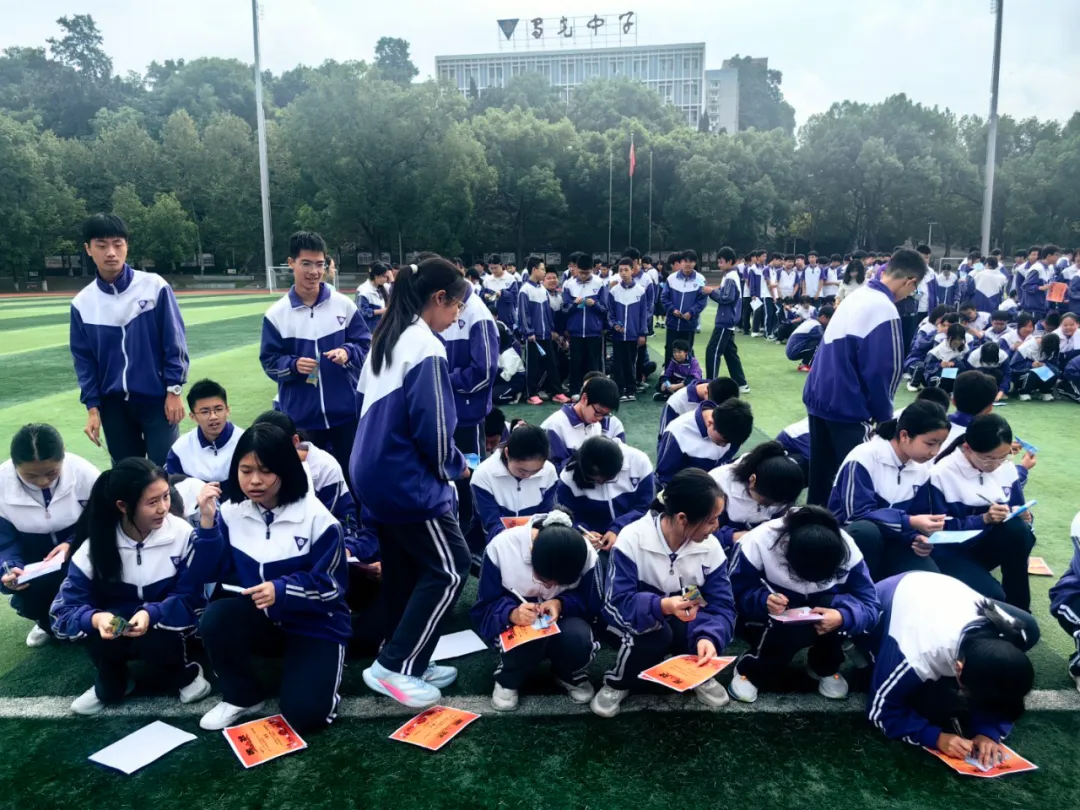 图片13 图片13