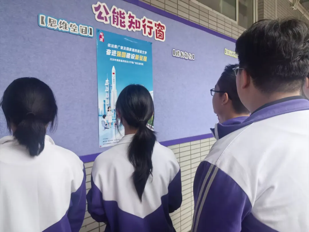 图片16