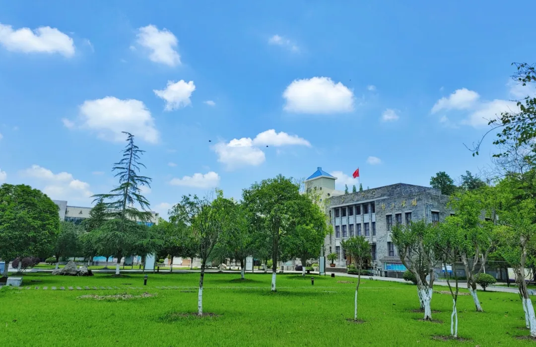 图片19 图片19