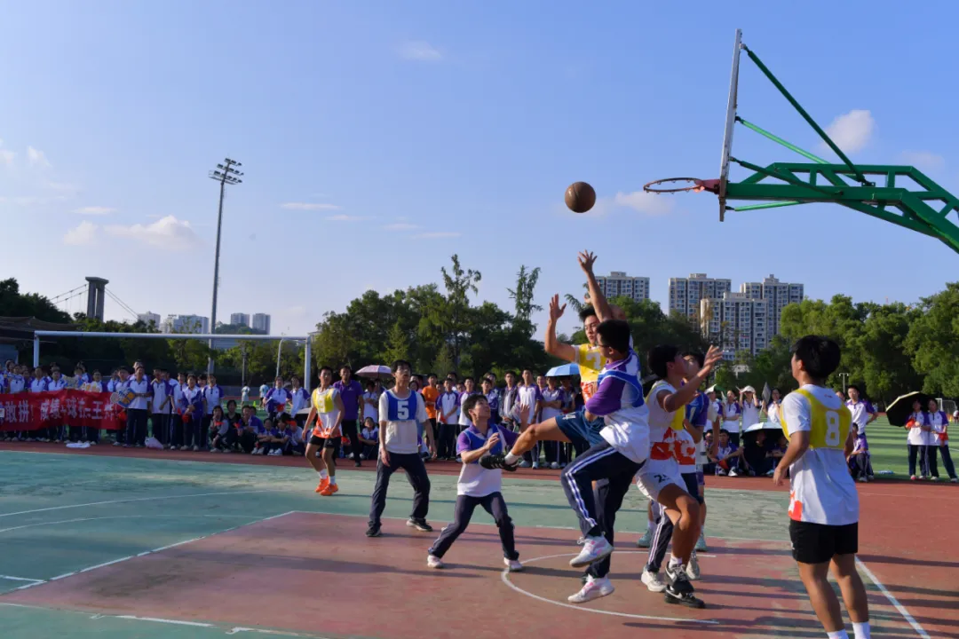 图片22