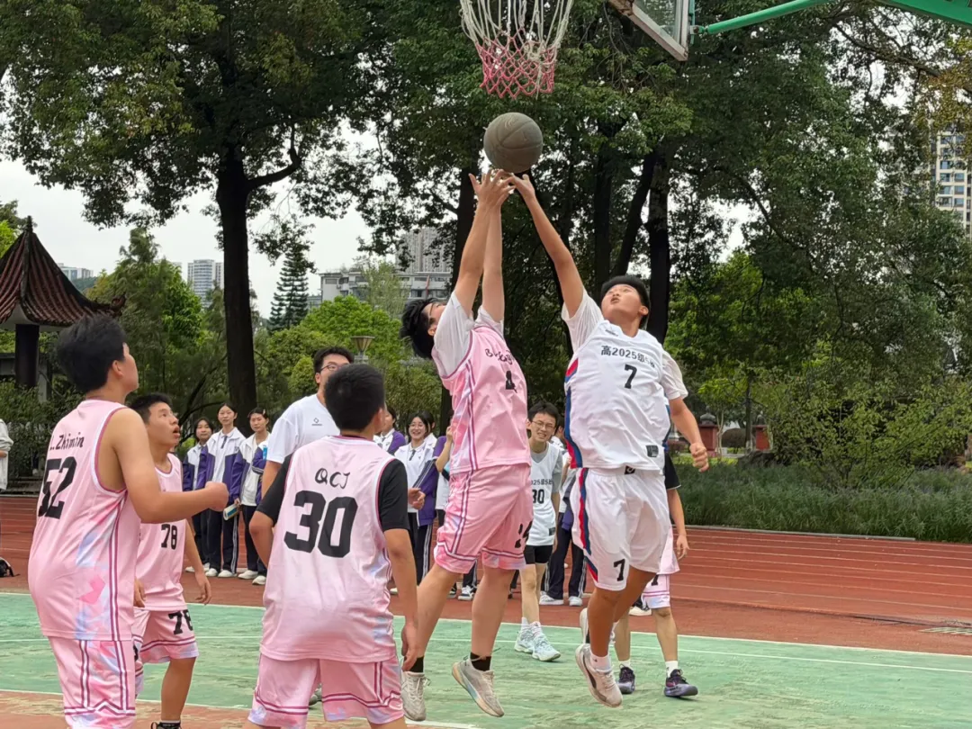 图片6
