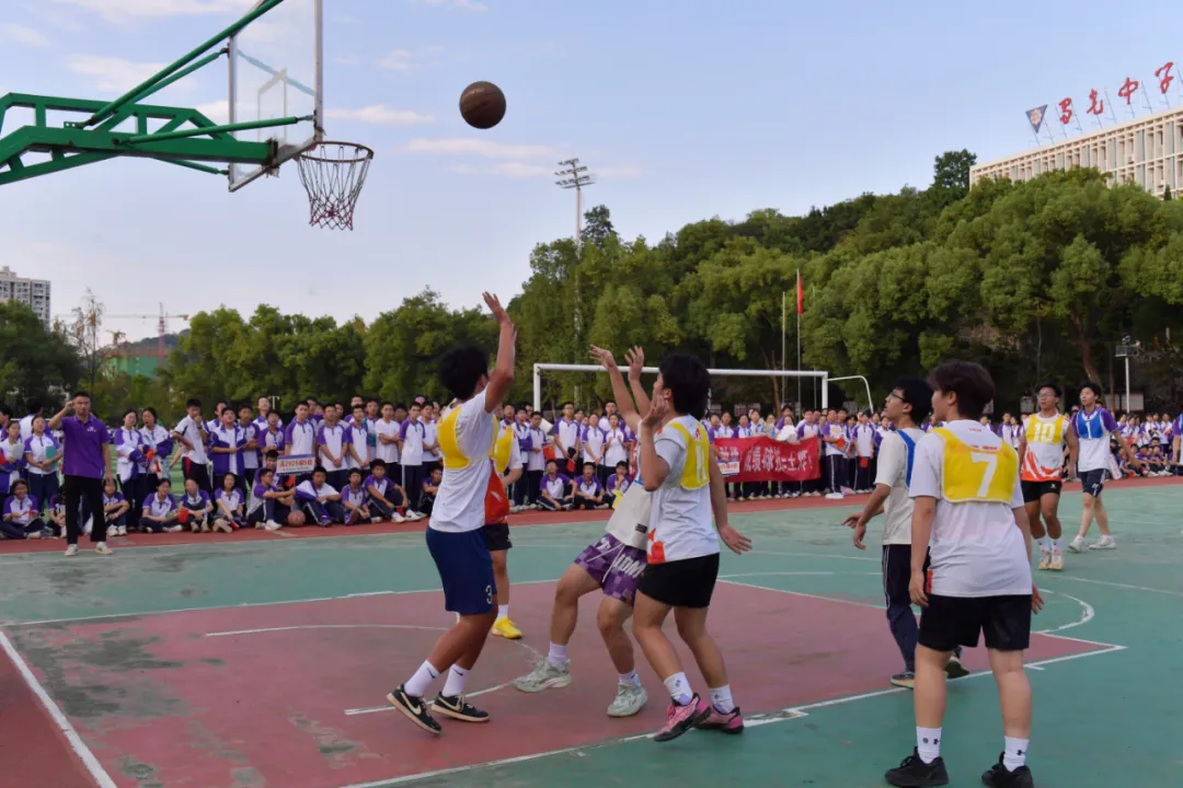 图片23